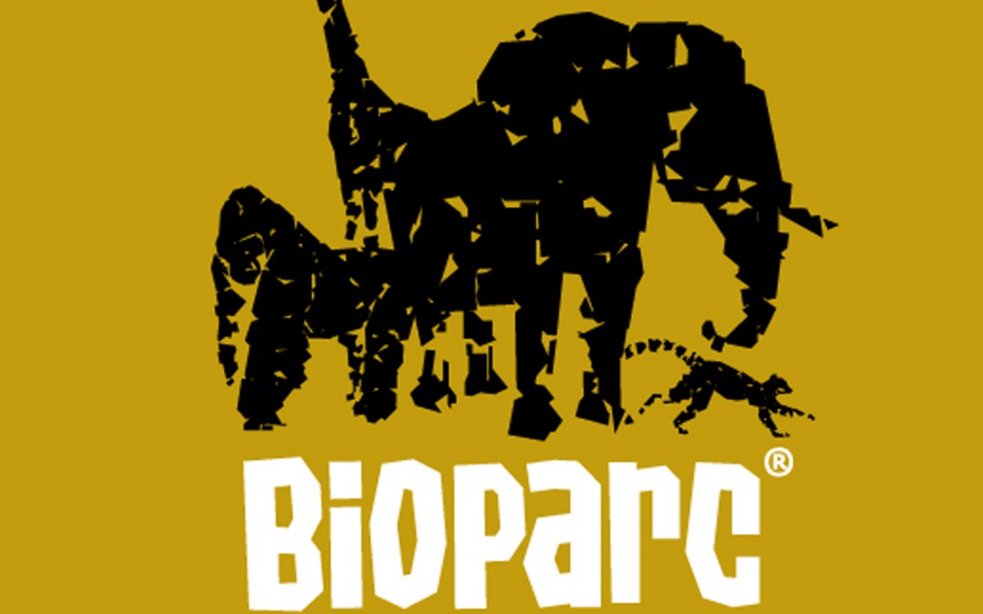 Taller de Tarjetas postales con Bioparc